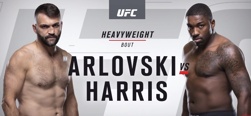 Belarus vs USA: Andrei Arlovski, Walt Harris fight at 'UFC 232' in Inglewood, California