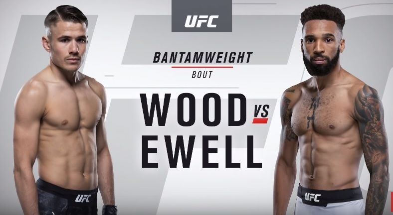 England vs USA: Nathaniel Wood, Andre Ewell fight at 'UFC 232' in Inglewood, California