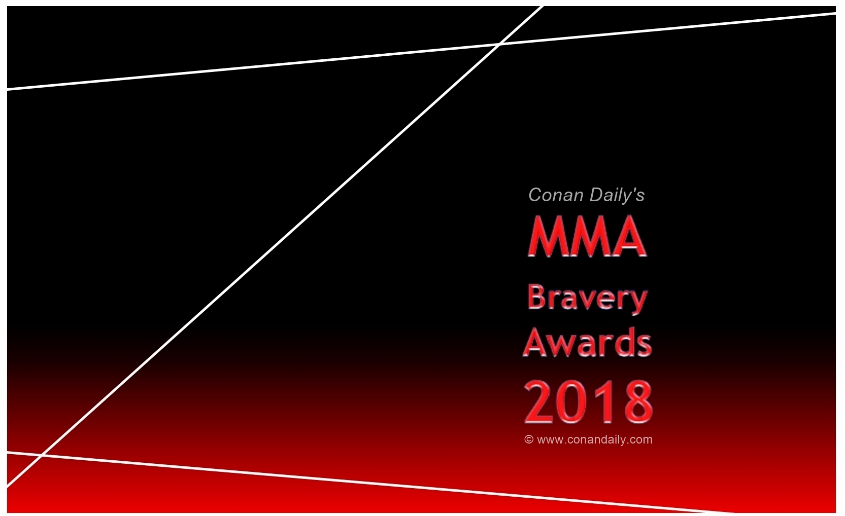 Conan Daily's MMA Bravery Awards 2018 nominees, online voting