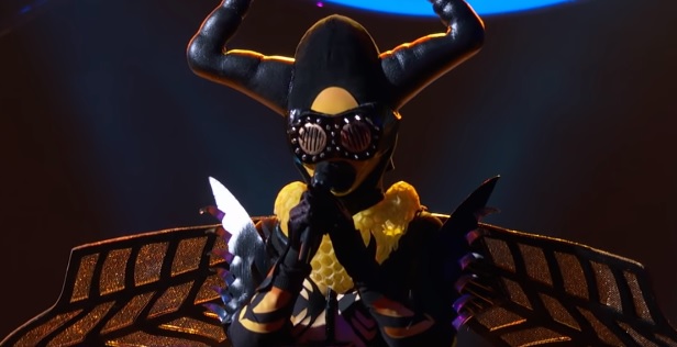 The Bee