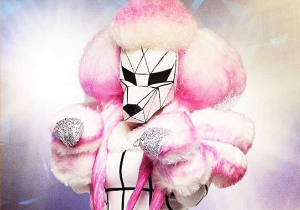 The Poodle