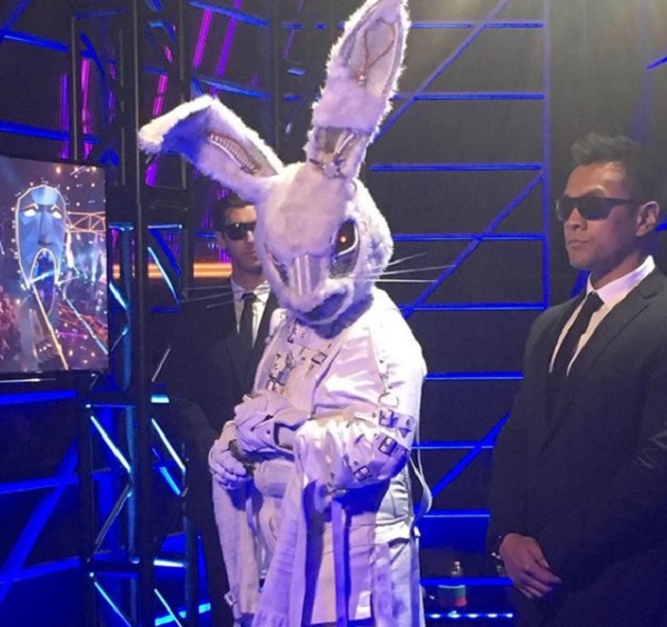 The Rabbit
