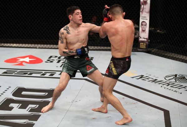 Brandon Moreno, Jussier Formiga (©UFC)