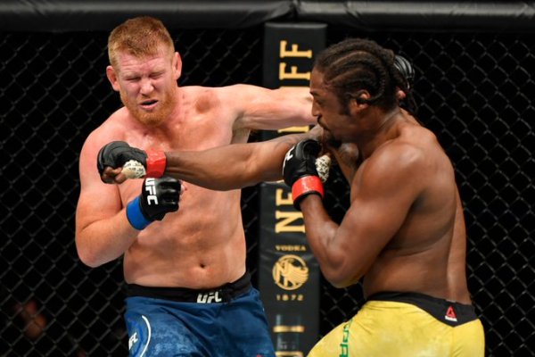 Sam Alvey, Ryan Spann (©UFC)